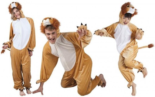 Löwe löwen lion - löwe,