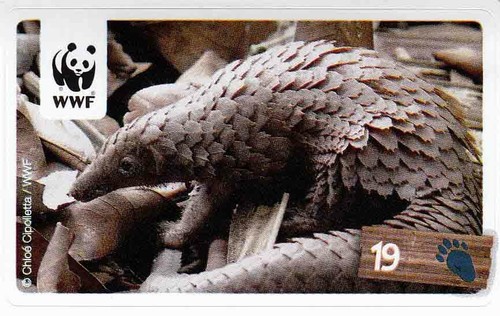 Rewe wwf tier abenteuer - wwf,