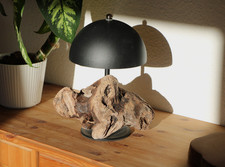 Treibholzlampe, Holzlampe