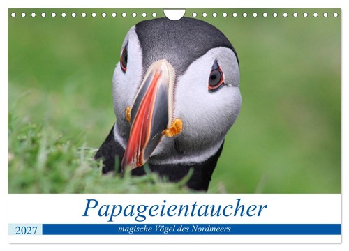 Papageientaucher 2027 - ,