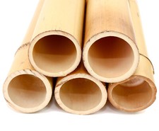 Moso Bambusrohr gelb gebleicht