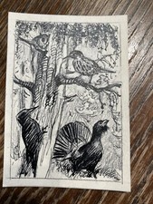 Originalzeichnung Wilhelm