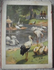 Ein Besuch im zoologischen Garten zu Berlin * Leporello * Steinkamp Krause 1892