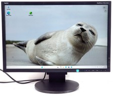 NEC MultiSync EA223WM 22" LED