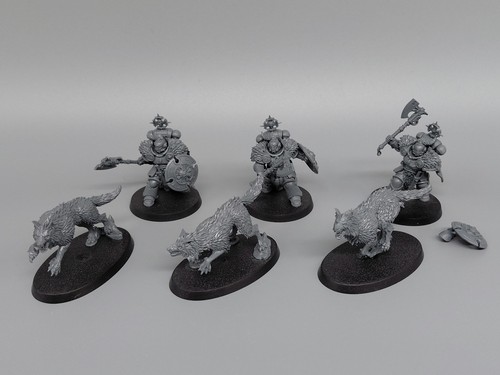 Wolf guard headtakers space - wolf,