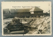 9575a❚ ORIGINAL Foto