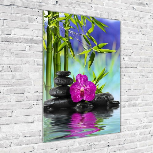 Wandbild druck auf plexiglas - druck,