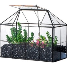 Handgefertigtes Glas Vintage Pflanzen Terrarium mit Deckel für Innenraum