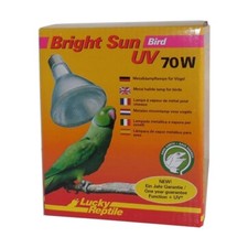 Lucky Reptile Bright Sun UV