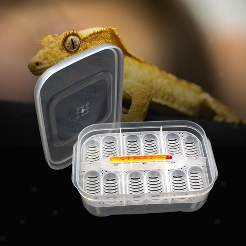 Reptilien inkubator tablett - reptilien,