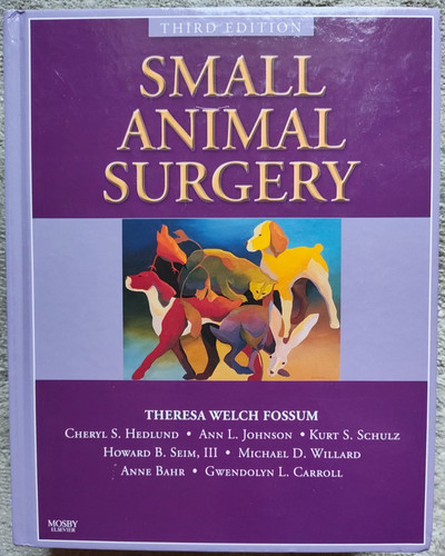Small animal surgery - animal, third