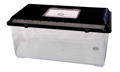 Faunarium grösse 56cm x - -,