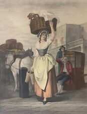 Die Erdbeer- Scarlet Von