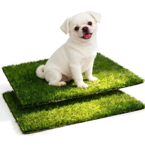 Hundetoilette welpentoilette - hundetoilette,