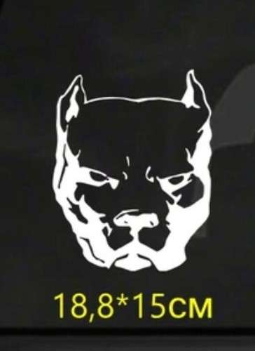 Pitbull hund bulldog auto - hund,