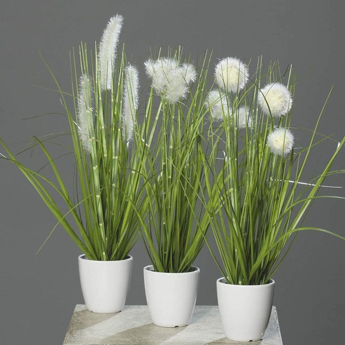 Mucplants kunstpflanze gras - mucplants, im
