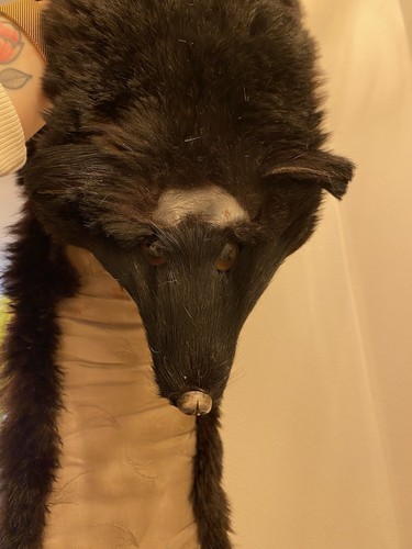 Vintage real fur shawl scarf - real,