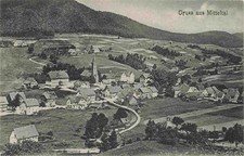 Mitteltal Schwarzwald Panorama