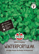 Sperli Winterportulaksamen SPERLI, frosthart, Freiland & Gewächshaus, wüchsig