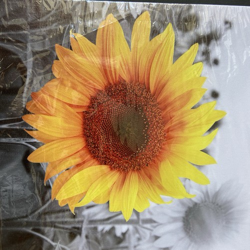 Bilder auf leinwand 30x30cm - leinwand, 4x