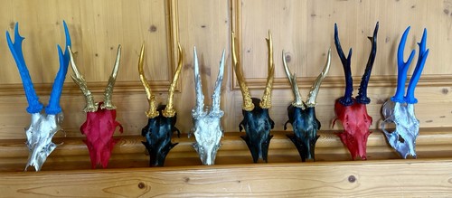 Rehbock gehörn geweih jagd - rehbock,