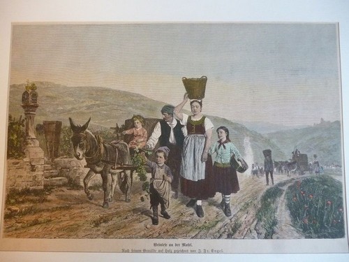 Orig kolorierter holzstich - orig.,