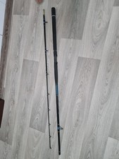 Welsrute  2,70 m, 300-600 g