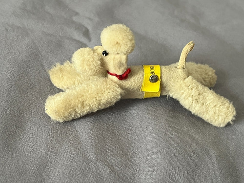 Steiff wollminiatur pudel - !1!,