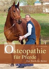 Osteopathie für Pferde: Das