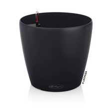 Lechuza Classico Color 43