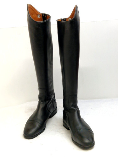 Celeris leder dressur - celeris,