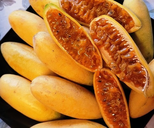 Bananen passiflora - bananen,