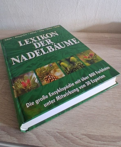 Lexikon der nadelbäume - lexikon,