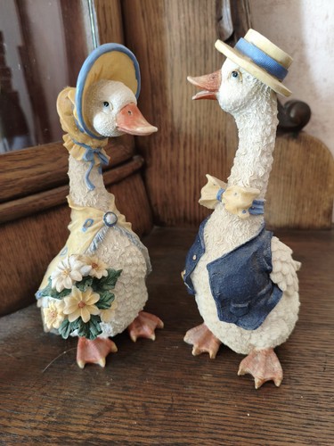 Originelles enten gänse - enten-,, gänse-