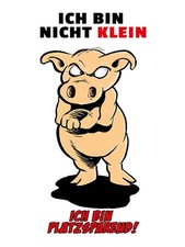 Holzschild 40x30 cm bin nicht