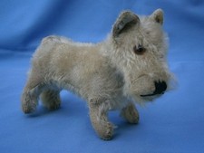 *****   seltener Steiff Hund "Sealyham", 14 cm, mit Knopf und Restfahne   *****
