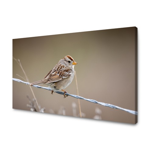 Canvas leinwandbilder xxl - canvas,