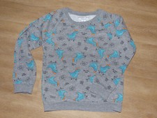 Pullover Gr. 116 grau blau orange Skateboard Dino Dinosaurier
