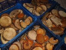 Holzscheiben rund, Holz, basteln, 8-15 cm, 3000 g, Deko,Floristik,