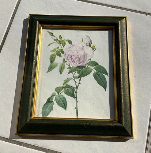 Gerahmtes rosenmotiv - gerahmtes,
