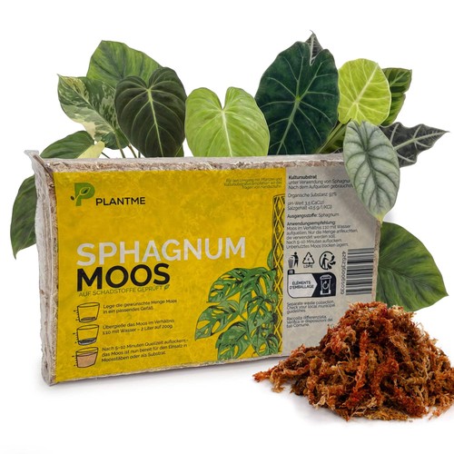 Plantme sphagnum moos - plantme, aus
