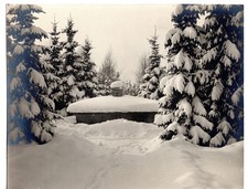 Vintage Winter Foto Waldhütte