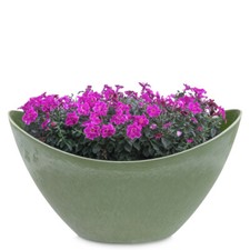 Pflanzschale Blumenschale oval