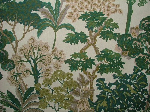 Iliv avar evergreen - iliv,
