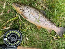 Fliegenfischen Basiskurs –