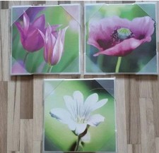NEU!!! 3 The Wall Wandbilder Blumenmotiv rosa Pink Lila weiß, je 20x20 cm flower