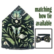 Totenkopf Hawk Motte Eule