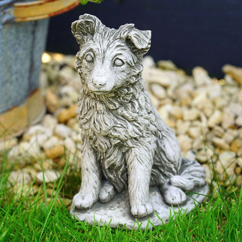 Sheltie schäferhund stein - schäferhund,