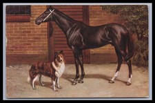 Ansichtskarte / Kunst Hund und