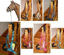 Halfter Native gepolstert variable Verstellbarkeit  Pony, VB , WB ,  Kaltblut 